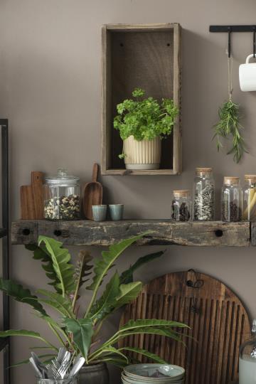 Ib Laursen - Skje - Oljet Akasietre